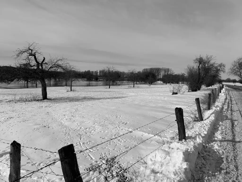 Winter am Niederrhein
